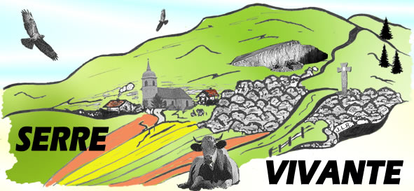 Voir le bulletin