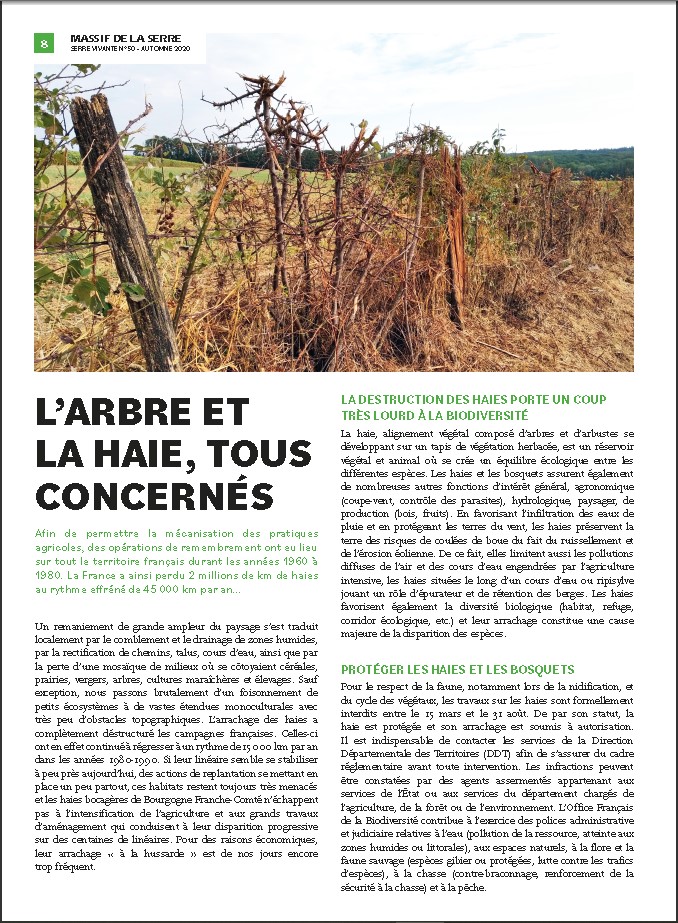 lire la suite