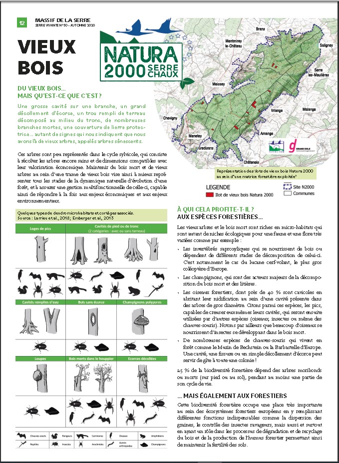 lire la suite