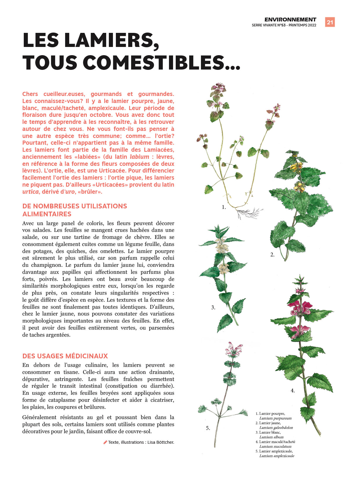 lire l’article dans le bulletin n°53